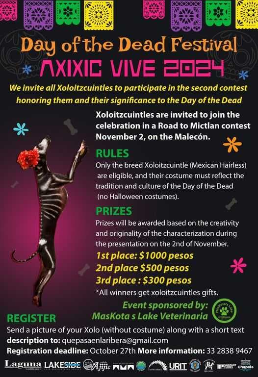 Xoloitzcuintle Contest in Ajijic