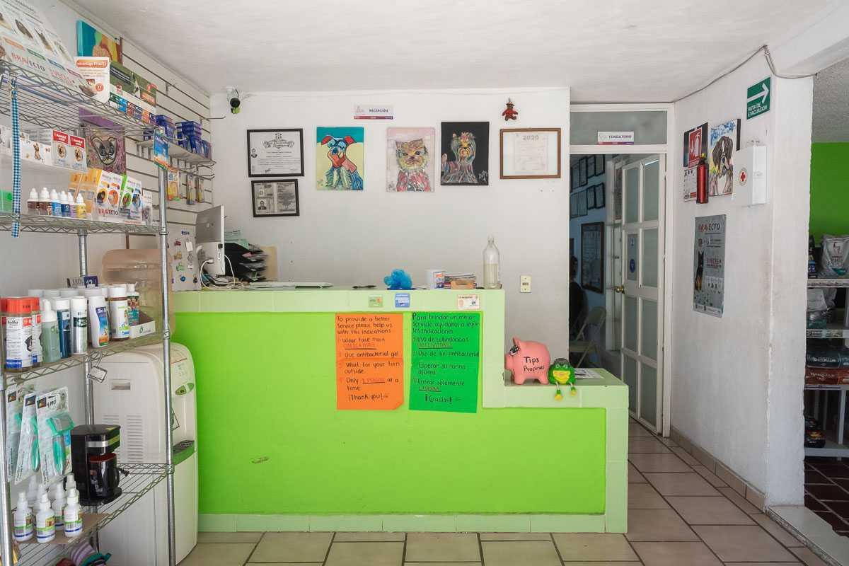 Maskota’s Lake Veterinaria