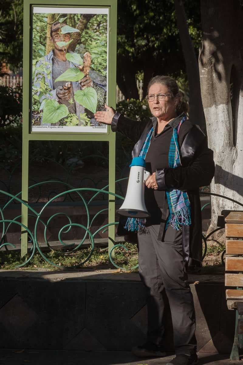 Galería al Aire Libre Axixic